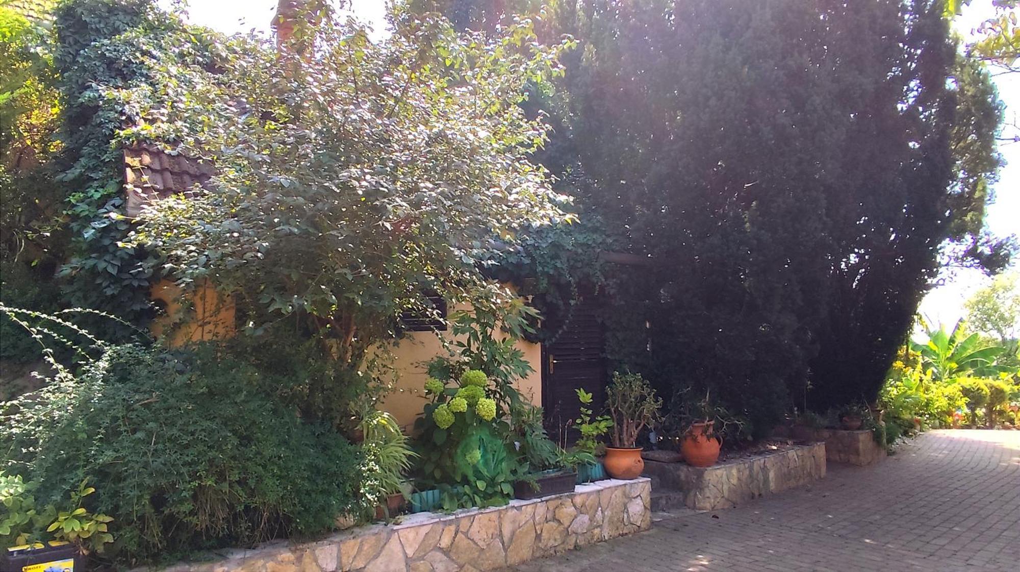 Katica Vendeghaz Appartement Siófok Buitenkant foto